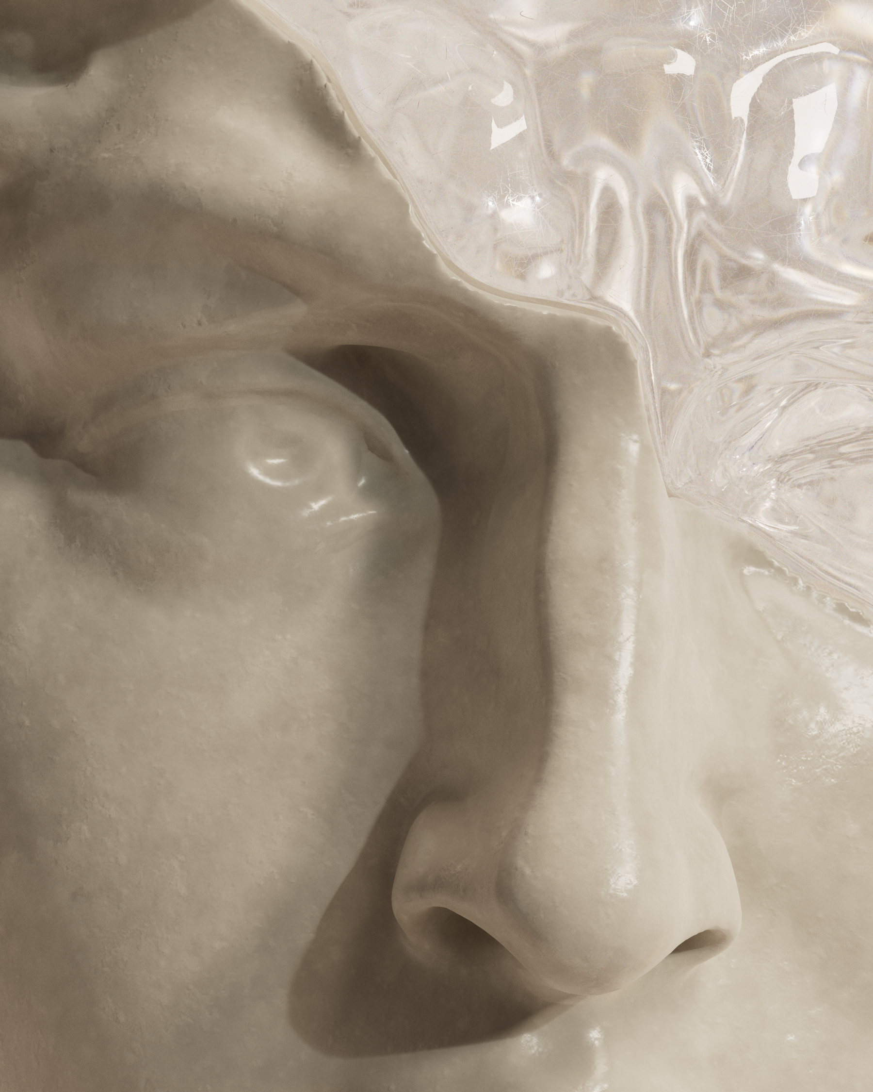 D. (David (Michelangelo))