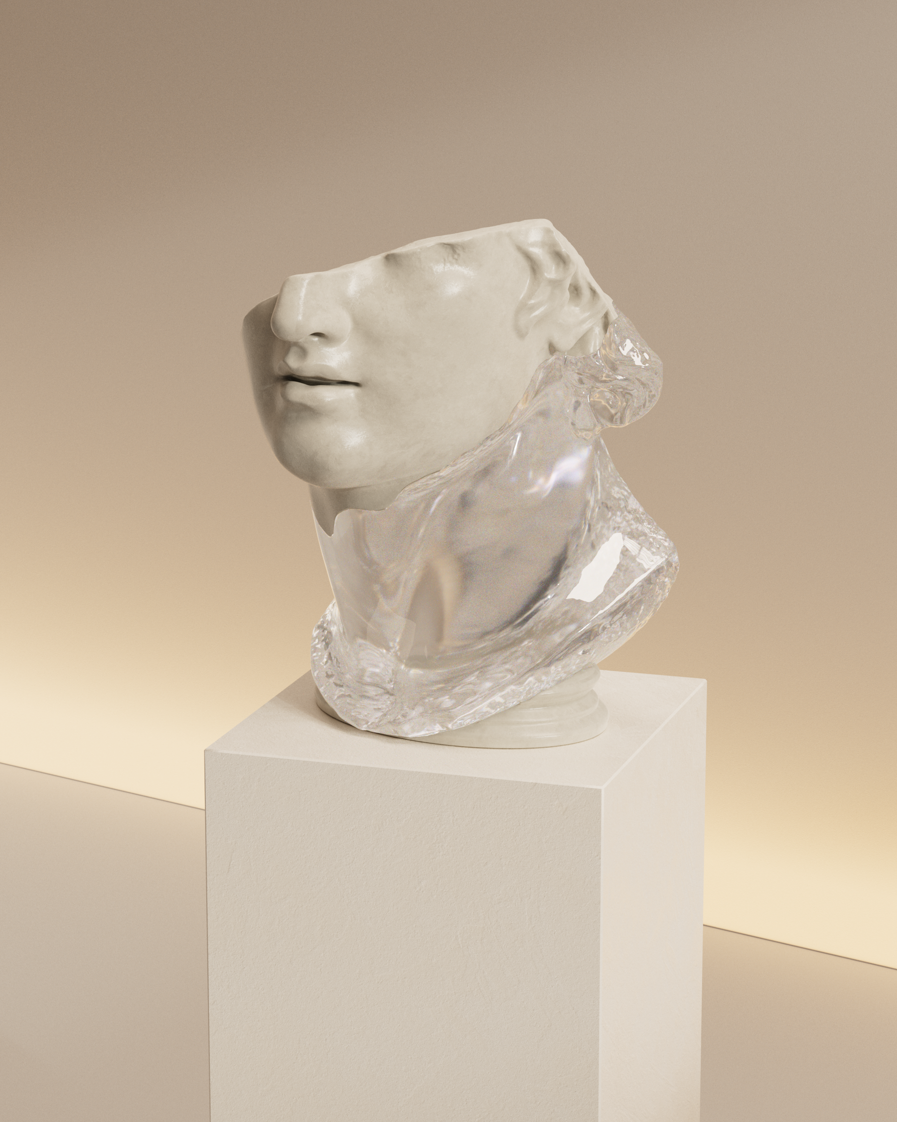 Y.H (Young Head)